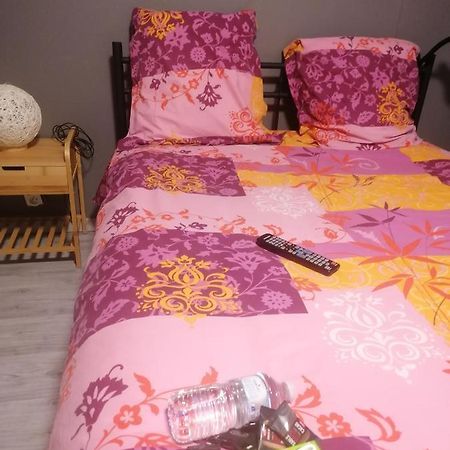 Chambres Dans Maison Familiale Saint-Girons  Εξωτερικό φωτογραφία