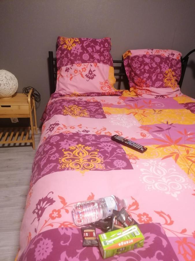 Chambres Dans Maison Familiale Saint-Girons  Εξωτερικό φωτογραφία